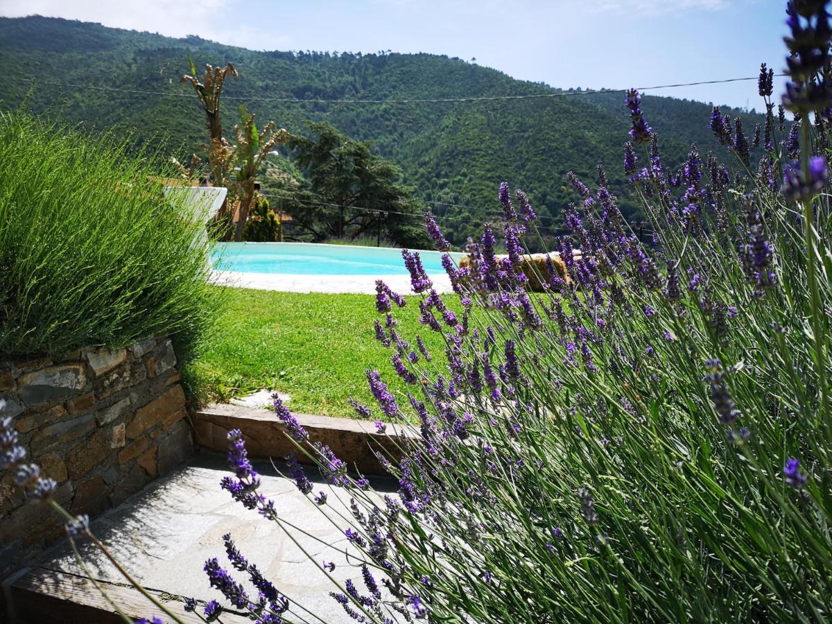 Agriturismo Ca Due Nonu Vallebona Zewnętrze zdjęcie